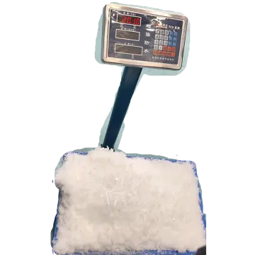 Digital Scale