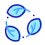 jienng